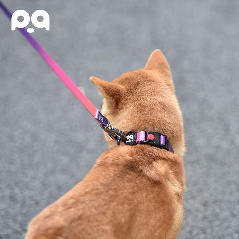 纤宠狗狗项圈网红牵引绳背心式狗绳胸背带遛狗绳大小型犬狗链子
