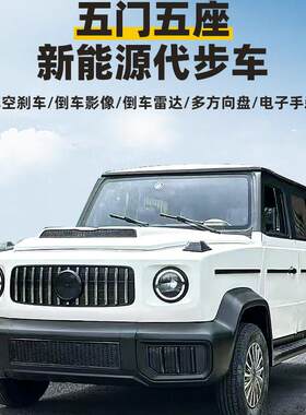 新款大G新能源老年代步车四轮电动车无需驾照空调老头乐轿车分期
