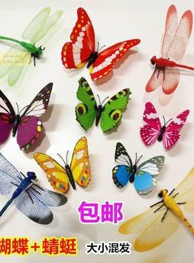 新款上新真蜻蜓塑料假蜻蜓蝴蝶带别针窗帘装饰拍照小饰品3d