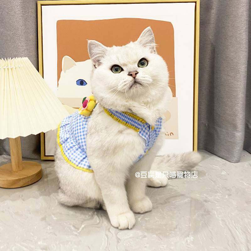 裙子狗猫咪衣服夏天薄猫默认15UI款银渐层蓝猫英短布美偶猫狗小防