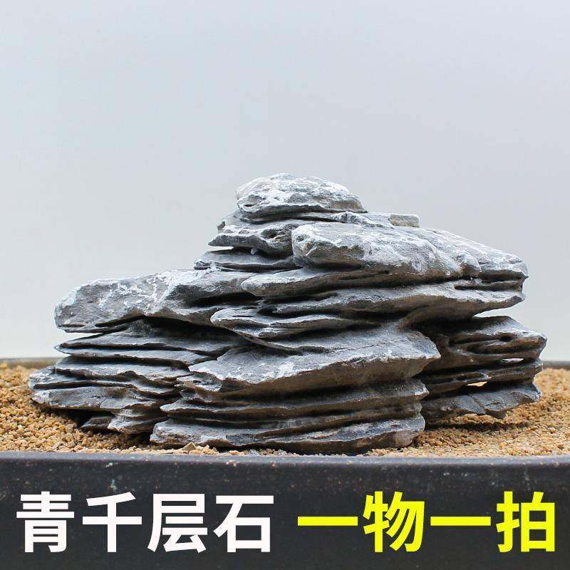 造景石头849青千层石天然原大号缸假山盆鱼景草缸石装饰品小摆件