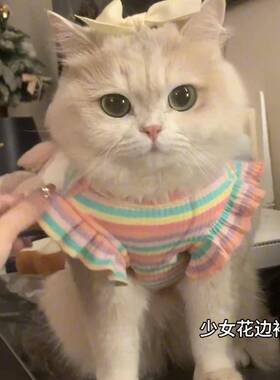 默认ZBSC猫咪衣裙服宠春夏季可爱背心物防掉毛带吊布偶德文可爱猫