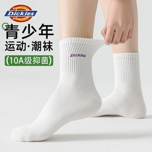 Dickies袜子纯棉女款2026新款冬季抗菌中筒袜长袜男款棉袜情侣袜