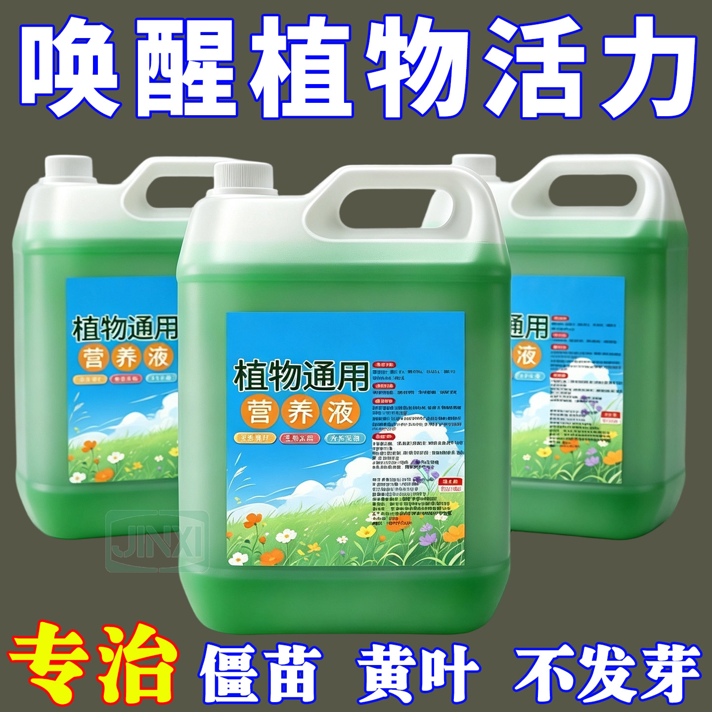 植物通用水溶肥快速生根壮苗