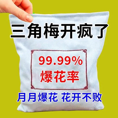 三角梅催花开花粉促芽剂催光杆发芽治黄叶落叶枯萎壮根助生长肥料