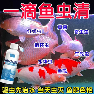 鱼虫清溶液水产养殖专用药纤毛虫锚头鳋指环虫寄生虫驱虫专用鱼药