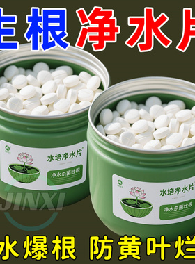 水培植物净水片鲜花花卉保鲜剂不臭水碗莲专用杀菌消毒片净化水质