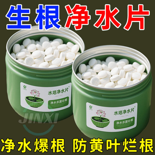 水培植物净水片鲜花花卉保鲜剂不臭水碗莲专用杀菌消毒片净化水质