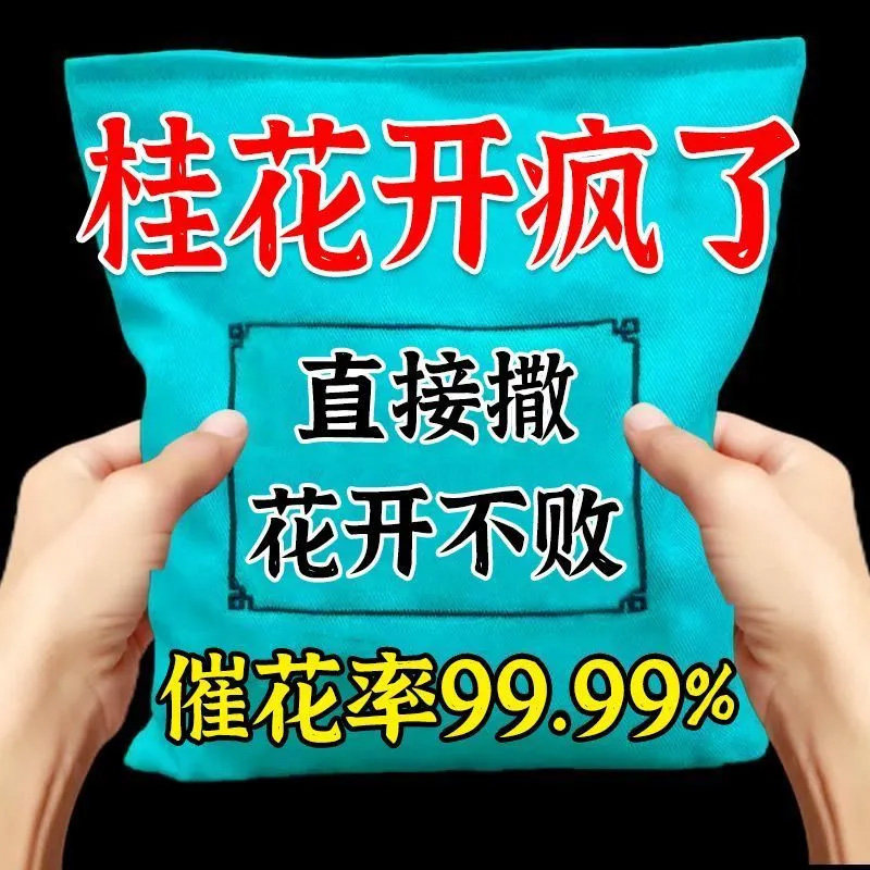 【开疯了】桂花开花粉专用营养液治干尖焦尖黄叶枯萎催芽促开花