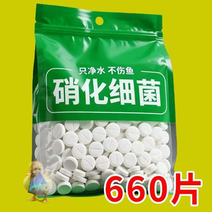 鱼缸净水片硝化细菌去除鱼缸异味净化水质鱼缸去除腥味鱼缸专用