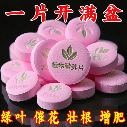 植物营养片通用型家庭园艺缓释肥养花肥料家用盆栽通用花卉果蔬肥
