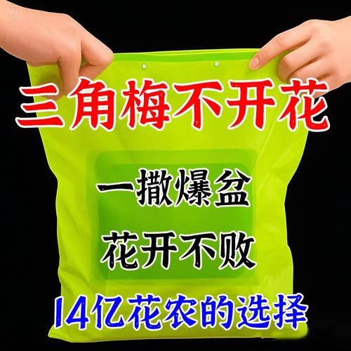 开花粉【三角梅开疯了】催花促芽