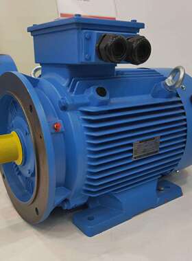 清江YQ-280M-2-H 440V 60Hz 110kw 挪威DNV船级社认证电机