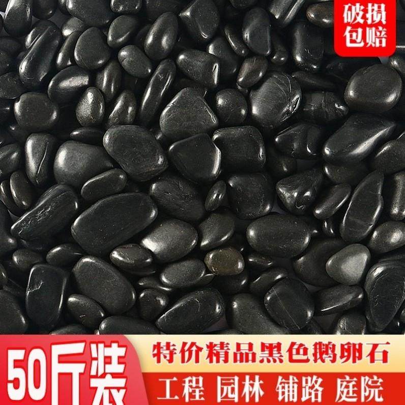 黑石子黑色鹅卵石绿植装饰鱼缸铺路兰花多肉铺面花盆石盆栽庭院,鲜花速递/花卉仿真/绿植园艺,其它园艺用品,淘宝优惠券,粉丝福利购,淘宝优惠卷