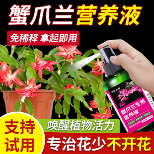 蟹爪兰专用营养液专用肥植物液体肥花肥增肥增绿促开花肥料通用