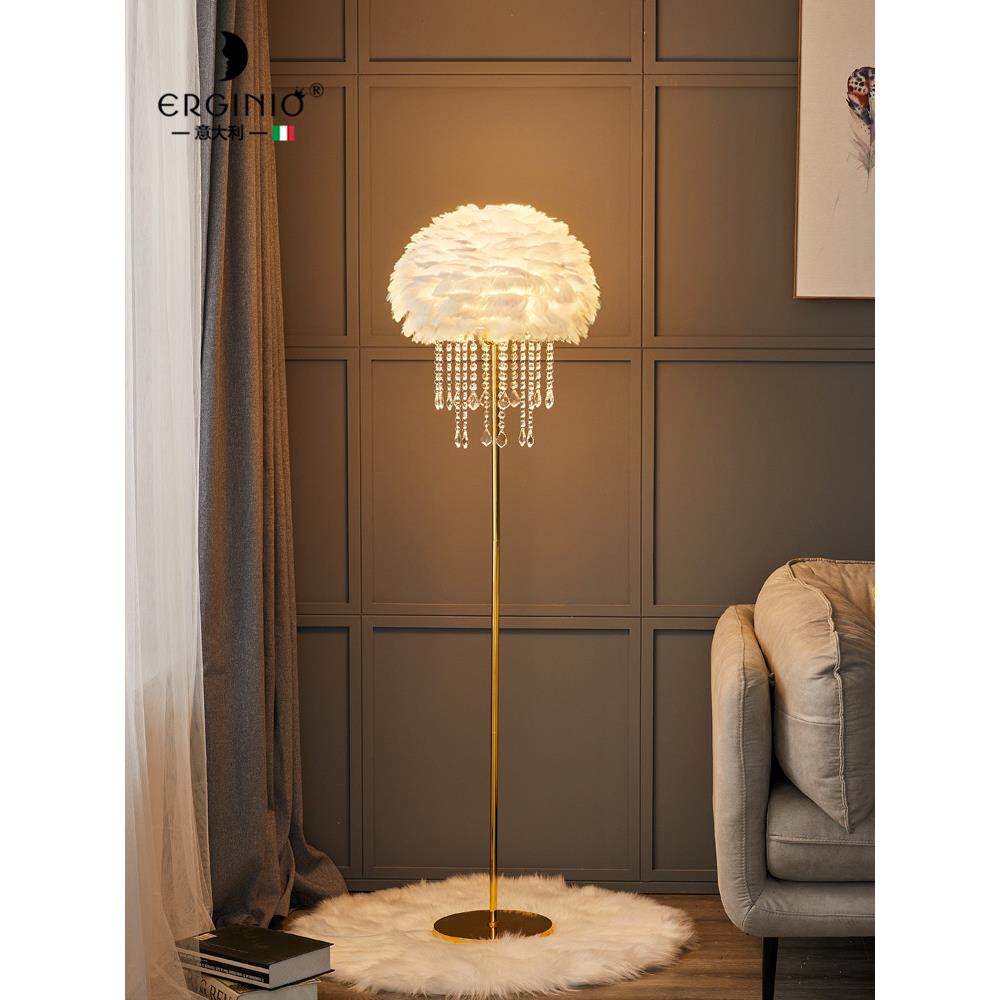 Erginio意大利羽毛落地灯水晶无障碍豪华斯堪的纳维亚客厅沙发卧