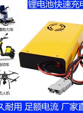 锂电池充电器电动车12V24V48V60V72V5A10A30A40A三元锂电磷酸铁锂