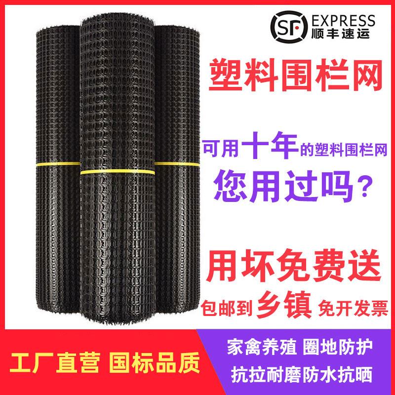 塑料网格养殖网防护菜园栅栏户外果园养鸭鸡漏粪脚垫圈玉米围栏网