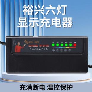 裕兴六灯自动断电智能电动车电瓶充电器48V12AH60V20AH72三轮通用