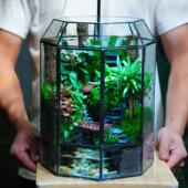 苔藓微景观流水雨林缸生态鱼缸造景办公桌面绿植摆件解压生日礼物