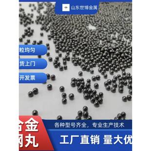 合金钢丸钢砂钢丝切丸国标钢丸铸钢丸厂家喷砂除锈磨料不锈钢丸