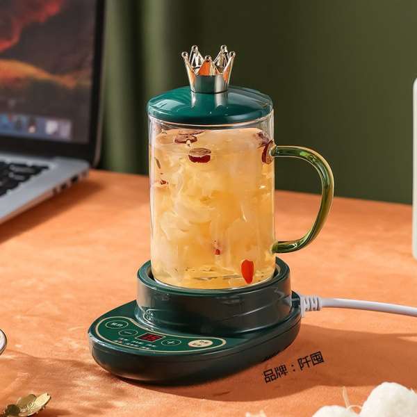 花茶养生壶迷你式公室家用多功能小型一人用全自动煮茶器烧水壶