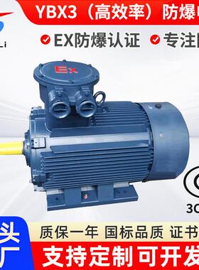 YBX3-250M-2/55W隔爆三相异步电机YB2YB3660V1100V防爆电机