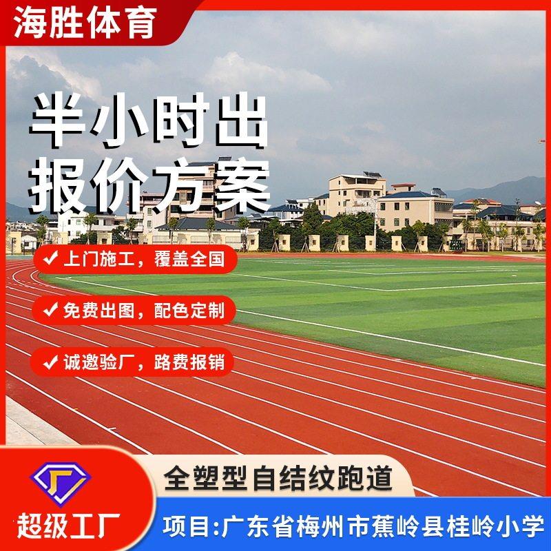 新国标塑胶跑道400米标准跑道材料学校全塑型跑道施工材料厂家