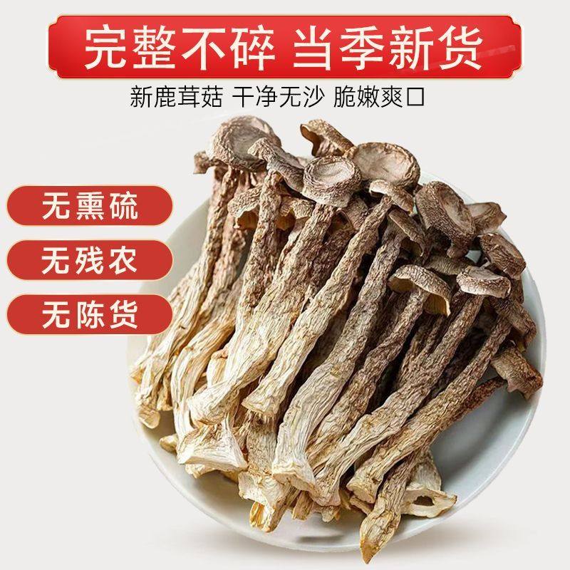 【新货一斤】鹿茸菇干货菌菇新货炖煲汤炒菜鹿耳菇软糯无添加残货,粮油调味/速食/干货/烘焙,干货组合/料包/汤包/干货礼盒,淘宝优惠券,粉丝福利购,淘宝优惠卷