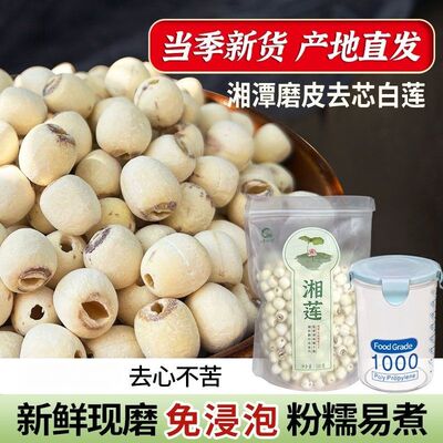湘潭去芯磨皮白莲子正宗莲子免浸泡粉糯易煮新鲜饱满煲汤煲粥干货