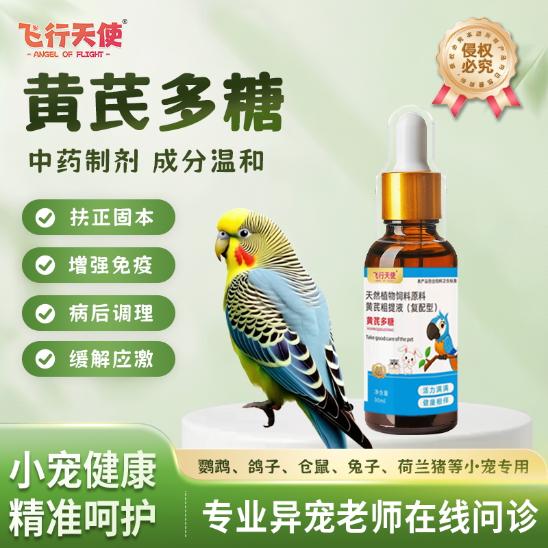 飞行天使黄芪多糖口服液鹦鹉增强免疫力仓鼠缓解应激乌龟病后调理