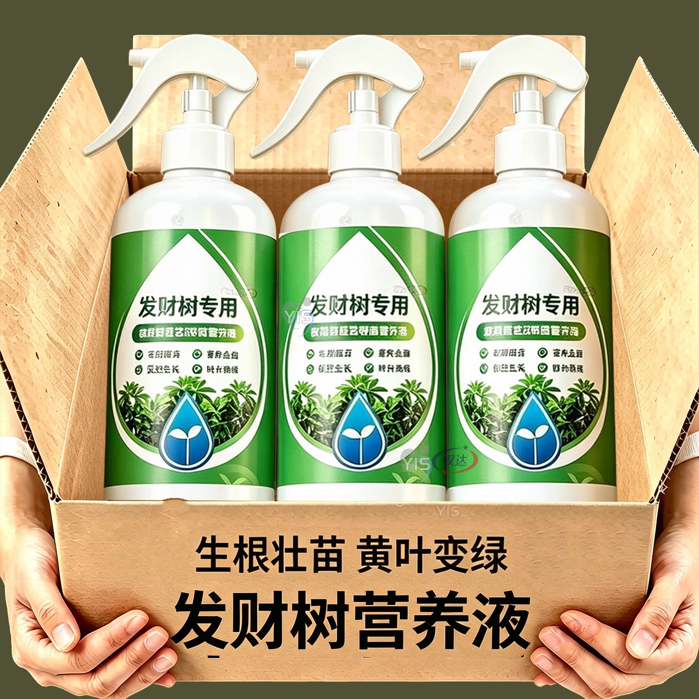 发财树专用营养液水培室内盆栽植物营养液通用型肥料水溶肥治发黄