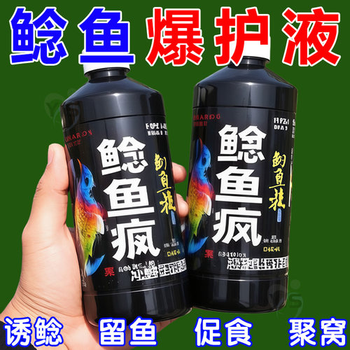 【鲶鱼闻味来】鲶鱼小药浓腥诱鲶