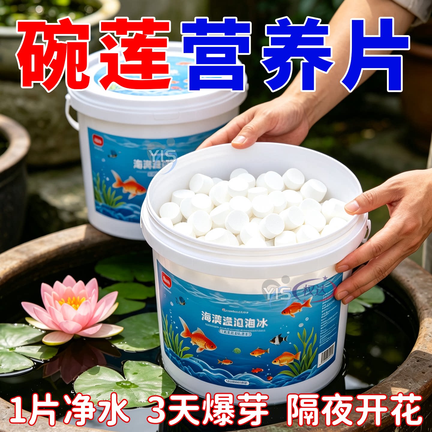 碗莲净水片荷花鲜花保鲜消毒片水培植物专用净水片除臭杀菌净水剂
