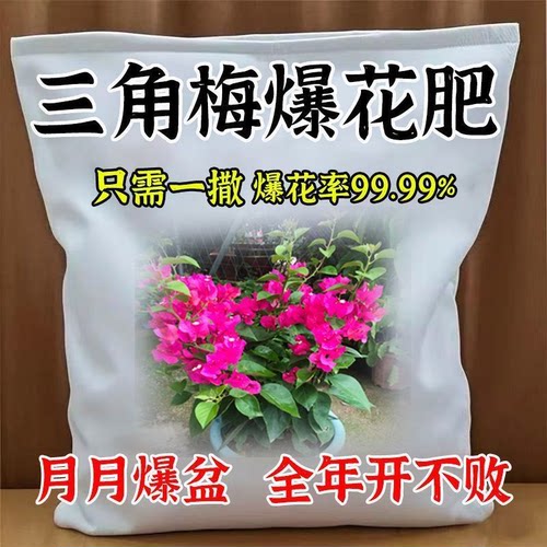 三角梅催花开花粉促芽助生长肥料