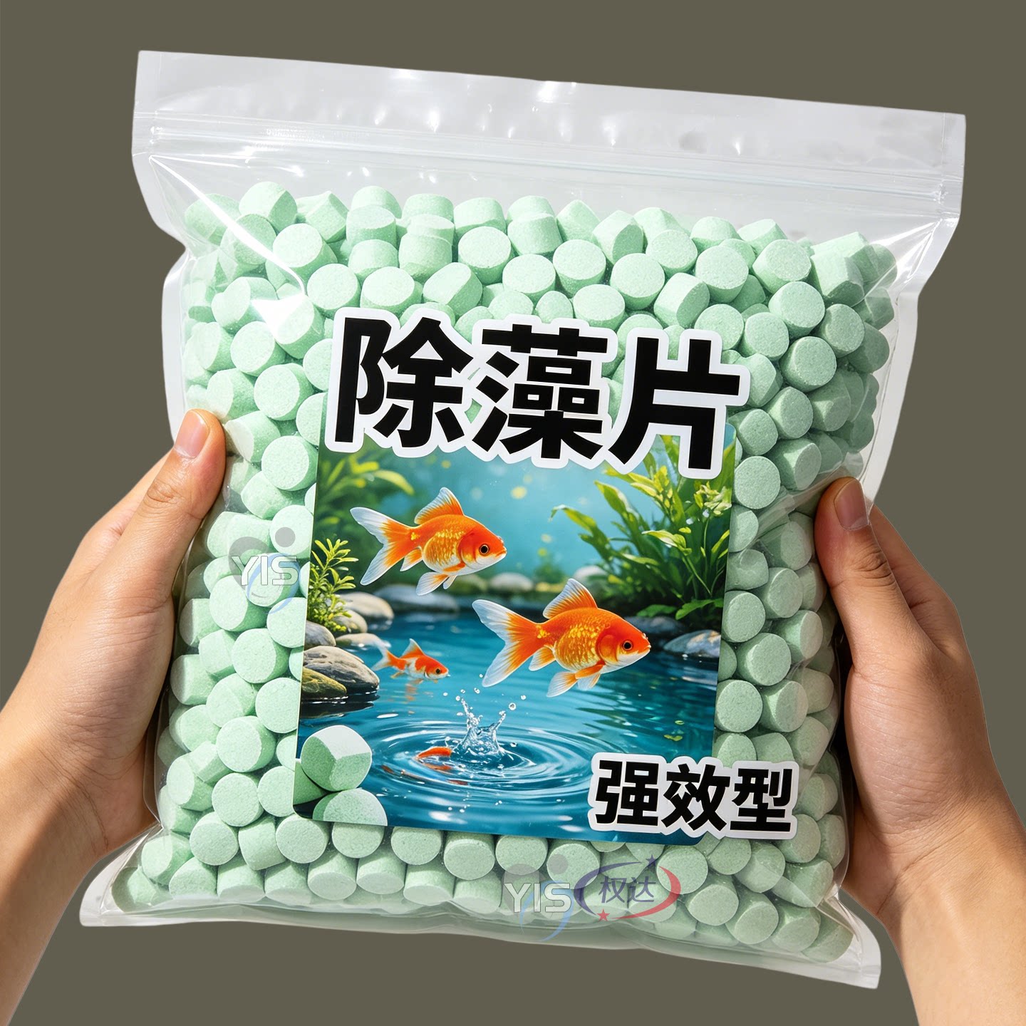 鱼缸除藻片绿藻青苔清除神器鱼缸除绿水褐藻丝藻黑藻水垢新款