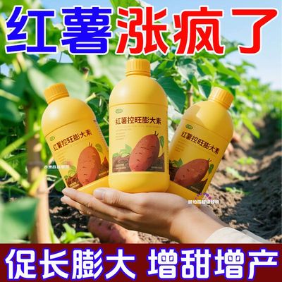 红薯控旺膨大素促长膨大增甜增粉