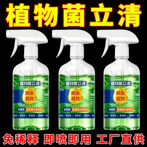 绿植菌立清叶斑病炭疽病一喷见效