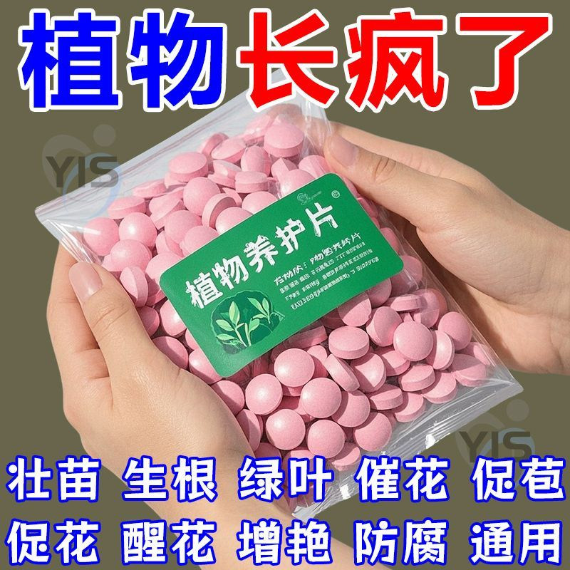 家庭园艺植物养护片营养科学配比