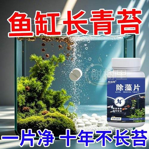 鱼缸绿藻青苔清除神器净水天花板