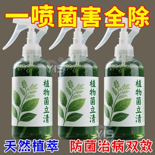 植物菌立清杀菌剂通用免稀释微生物菌剂盆栽绿植抑菌营养液花肥料