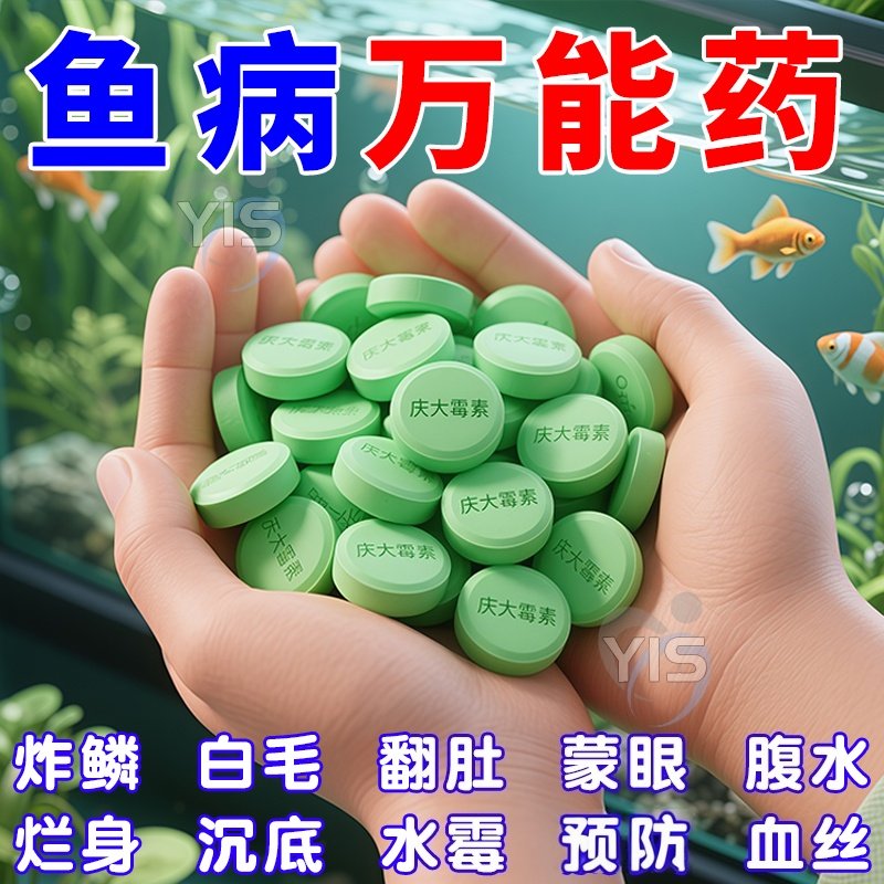 庆大霉素鱼用水族鱼药鱼病专用药抗生素烂身烂尾鱼塘专用疾病治疗