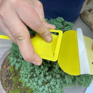 粘虫板诱杀害虫双面黄板蚜虫小黑飞蚊虫蓟马配地插挂枝头诱捕