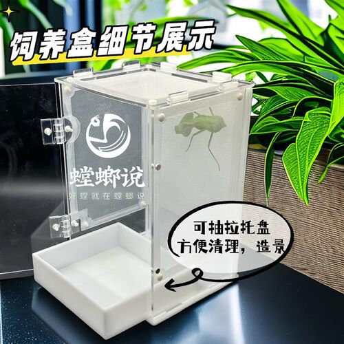 鸣虫生态饲养盒造景别墅鸣虫盒昆虫盒跳蛛蝈蝈螳螂饲养盒螳螂说