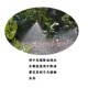 铜喷头别墅花园喷雾系统自动浇水浇花定时喷淋养殖场工地除尘降温
