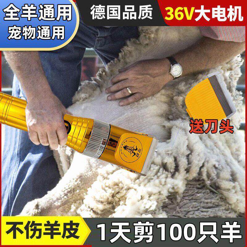 可旺36V大功率羊毛电推剪刀头羊专用剃毛机电推子大型犬宠物留毛
