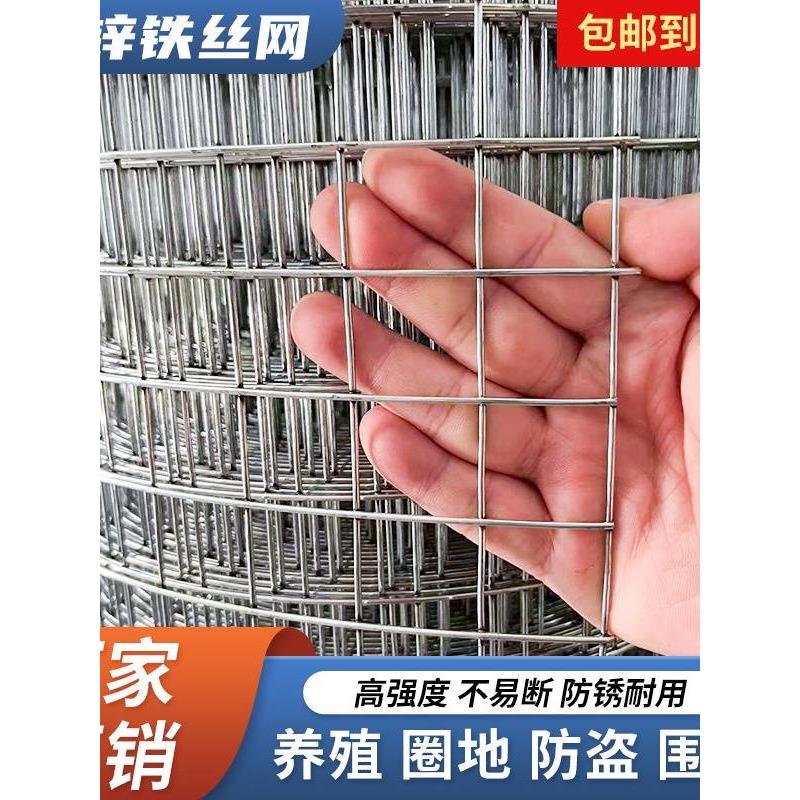 镀锌钢丝网围栏钢丝网加厚养殖鸡鸭网涂抹墙防裂施工防护网防鼠