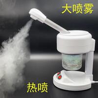 美容院单热喷雾机美容仪蒸脸器保湿仪热喷家用热喷机泰东水疗仪器
