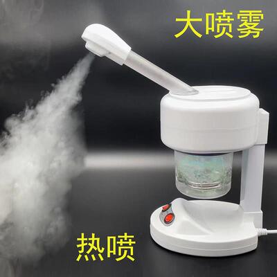美容院单热喷雾机美容仪蒸脸器保湿仪热喷家用热喷机泰东水疗仪器