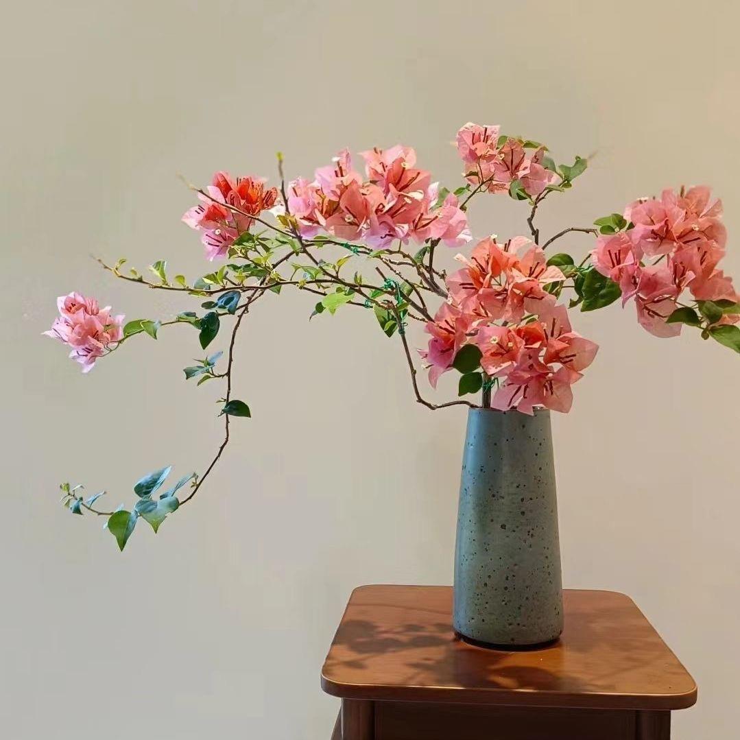 12【不甜西瓜】三角梅盆栽室内阳台庭院好养花卉四季开花爬藤好养